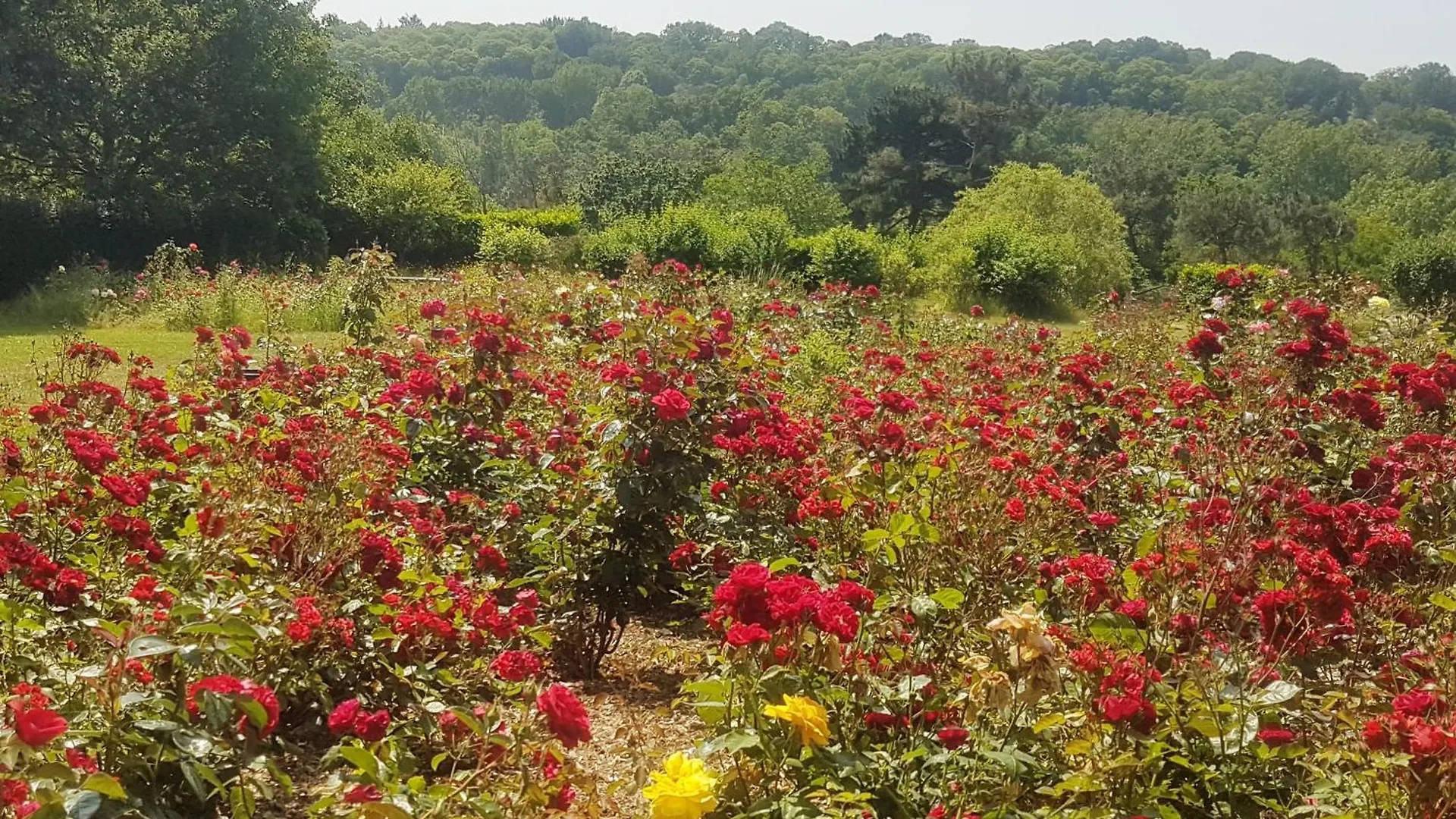 Bed and Breakfast Domaine De La Chesnaie Josselin